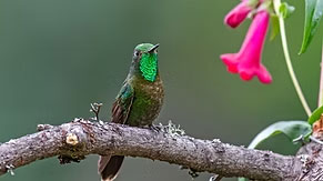 Photography Tours